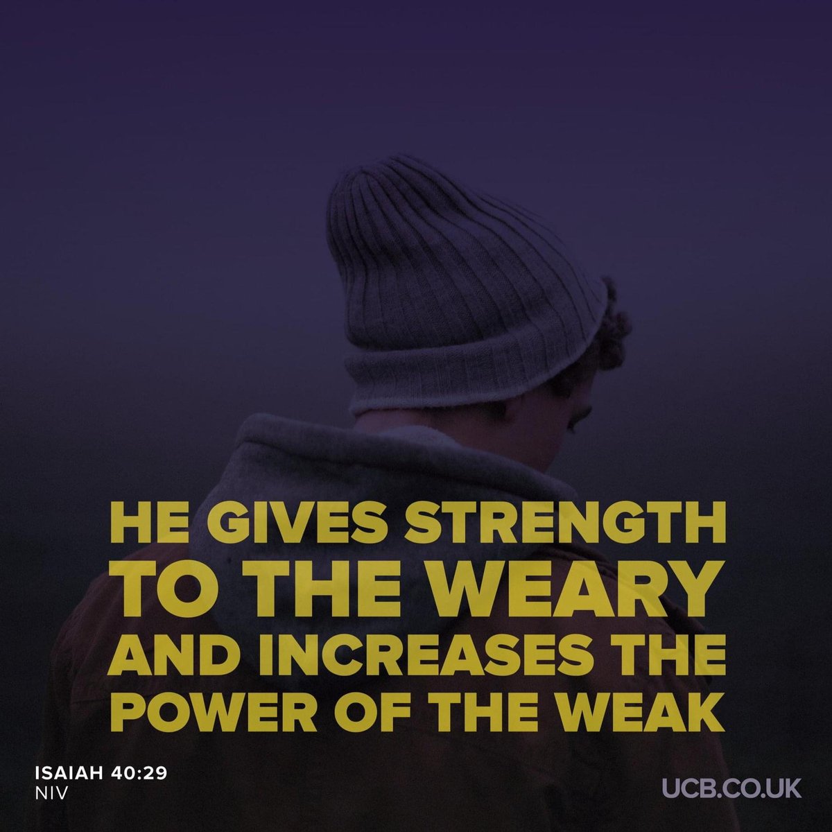 Ezra Bluesky (@ezrabluesky) on Twitter photo 