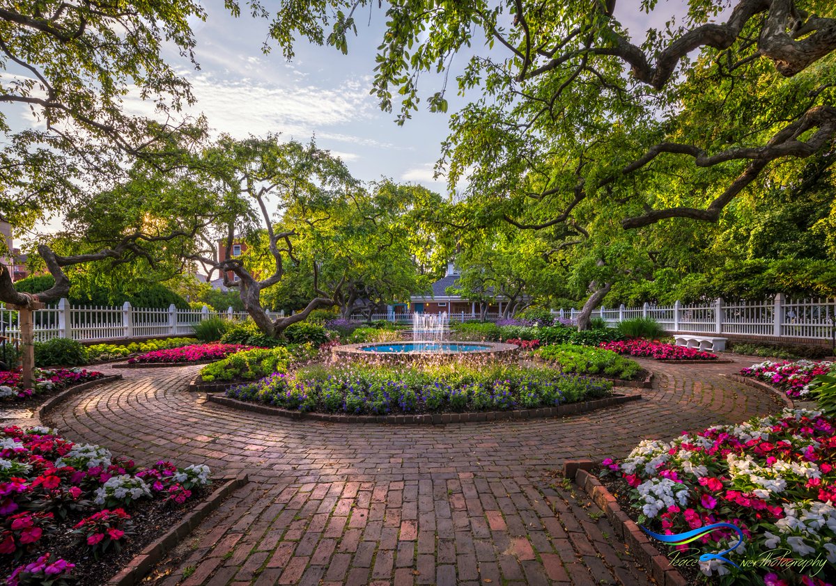 The Formal Garden at Prescott Park Portsmouth New Hampshire in the early evening sun. #Portsmouth #NewHampshire  #PrescottPark #Flowers