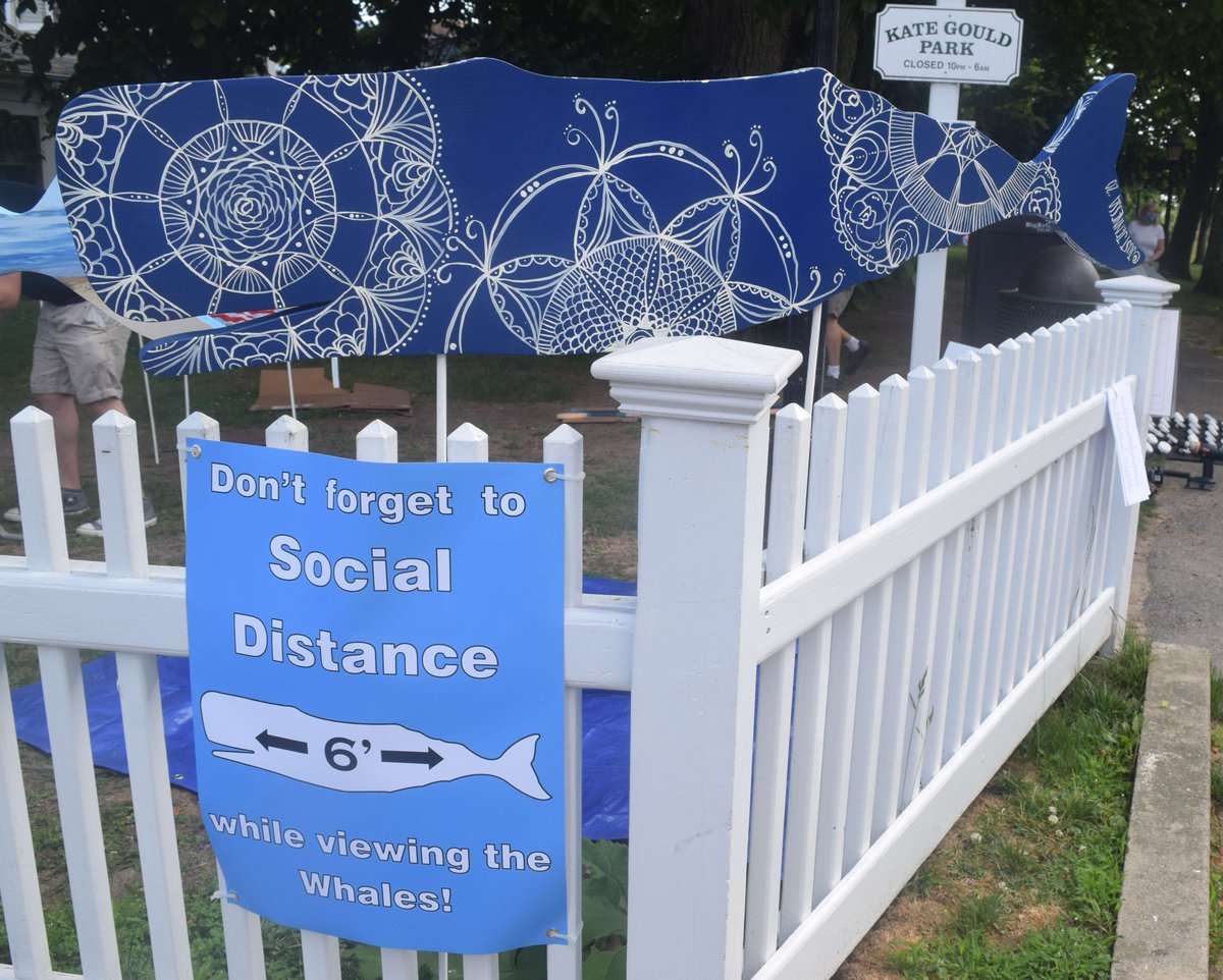 CCCNewsroom's tweet photo. Pods of whales arrived this morning at Chatham's Kate Gould Park for this summer's Art in the Park exhibit. Fifty decorated whales will be on display through August. Watch for more photos in next week's Chronicle. https://t.co/SCzQuVXRYi