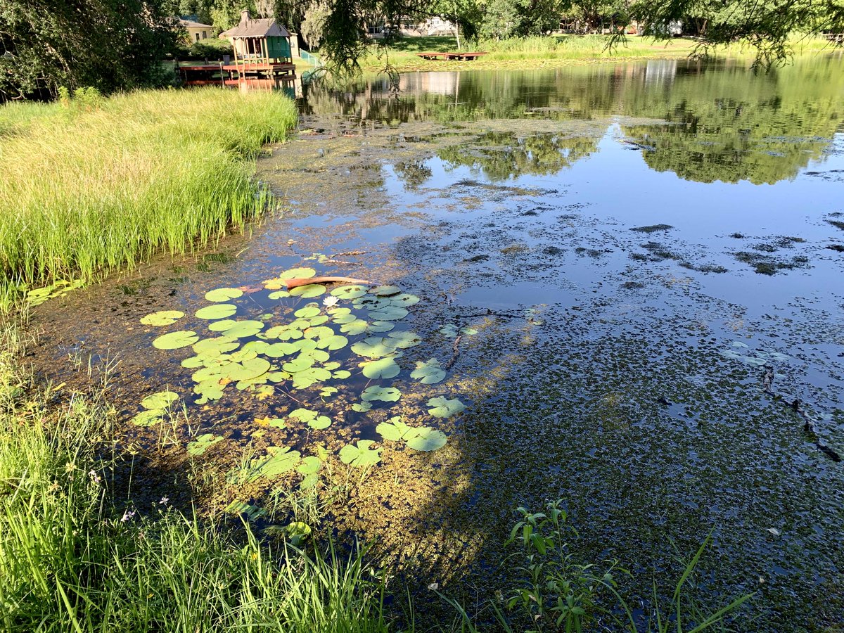 Bay to Bay Environmental LLC tweet media