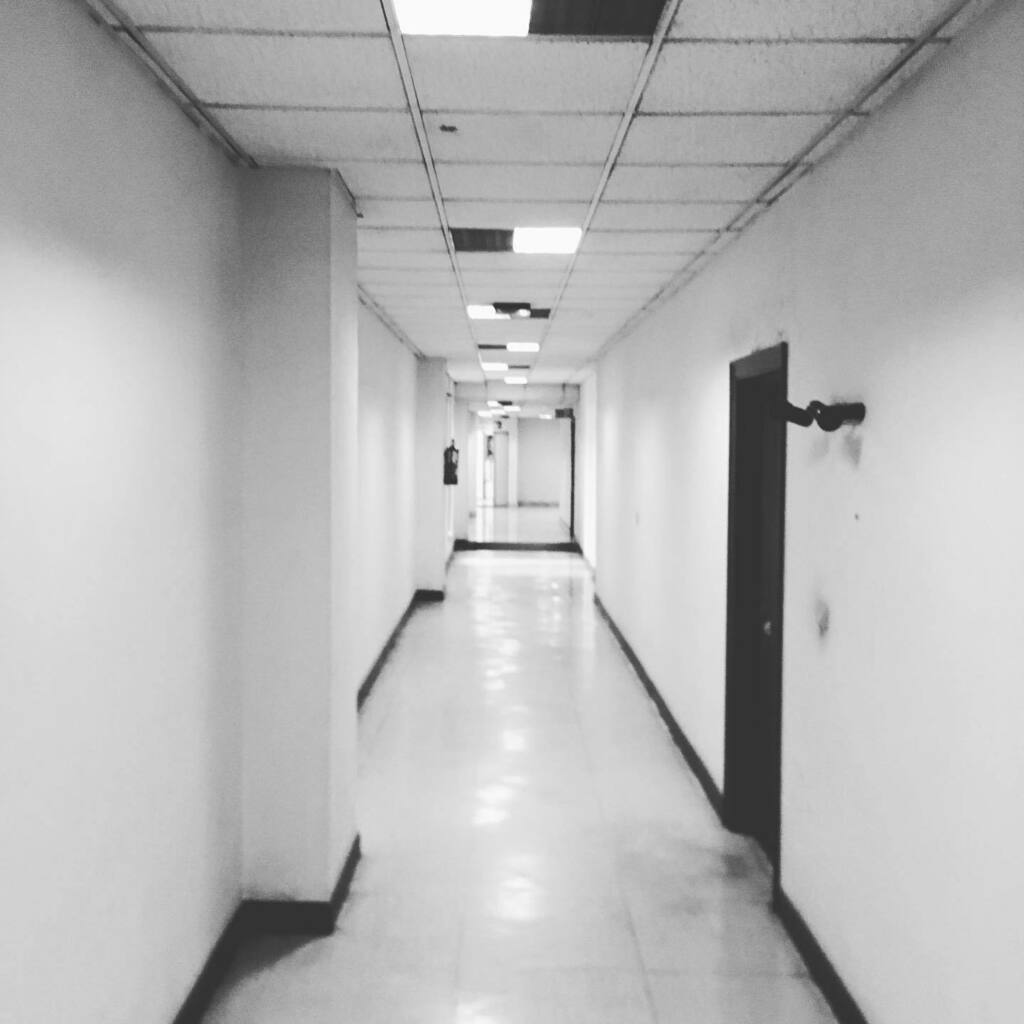 Diego Rodríguez tweet media