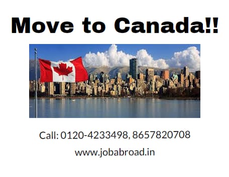 jobabroad_'s tweet photo. Canada is calling! Get counselling free and move to the country of your dreams.

#permanentresident #work #canadapr #canadavisa #canadalife #canadajob #canadaimmigration #canadacitizenship #workabroad #india #callcenter #usprocess #canadaprocess #bpo #mnc #ielts #delhi https://t.co/f4gj3hxbfB