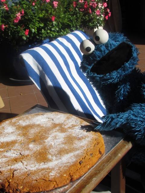 sesamestreet's tweet image. We know one furry monster who’s ready for the holiday weekend! 😂