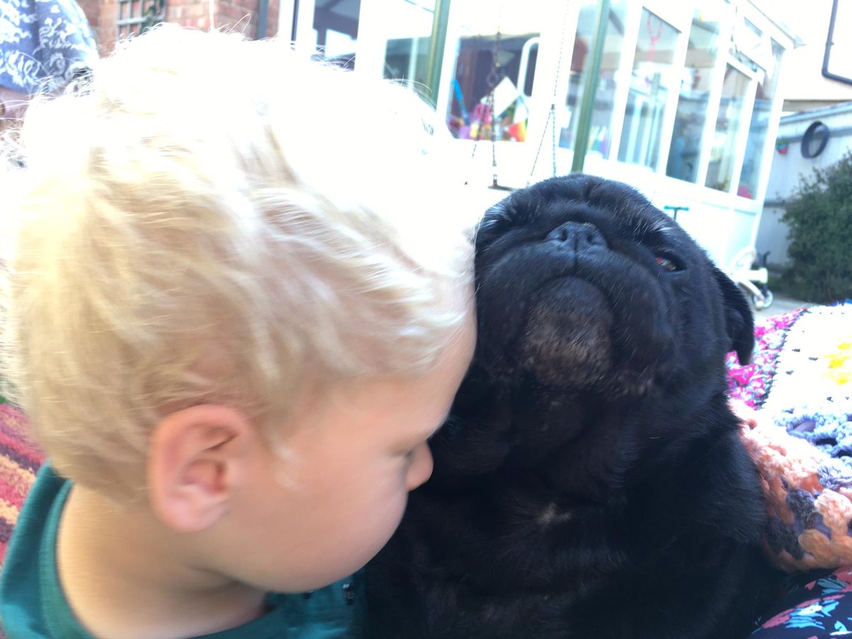 Play_Glos's tweet photo. PG Play Dogs: Lockdown Updates
For Play Ranger Dog Steve, lockdown has been a lot of looking after his mini humans, and then recovering from this tiring role! He gets plenty of love in return for his hard work!
#PetsAsTherapy #PlayDogs #DogsWithJobs #PlayWorkIsHardWork https://t.co/1kjh7DwcDD