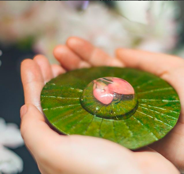 Kitchen Theory tweet media