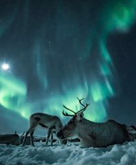 WorldTourisms's tweet photo. Norway 🇳🇴
cr: eventyr https://t.co/6cGt0lBqGx