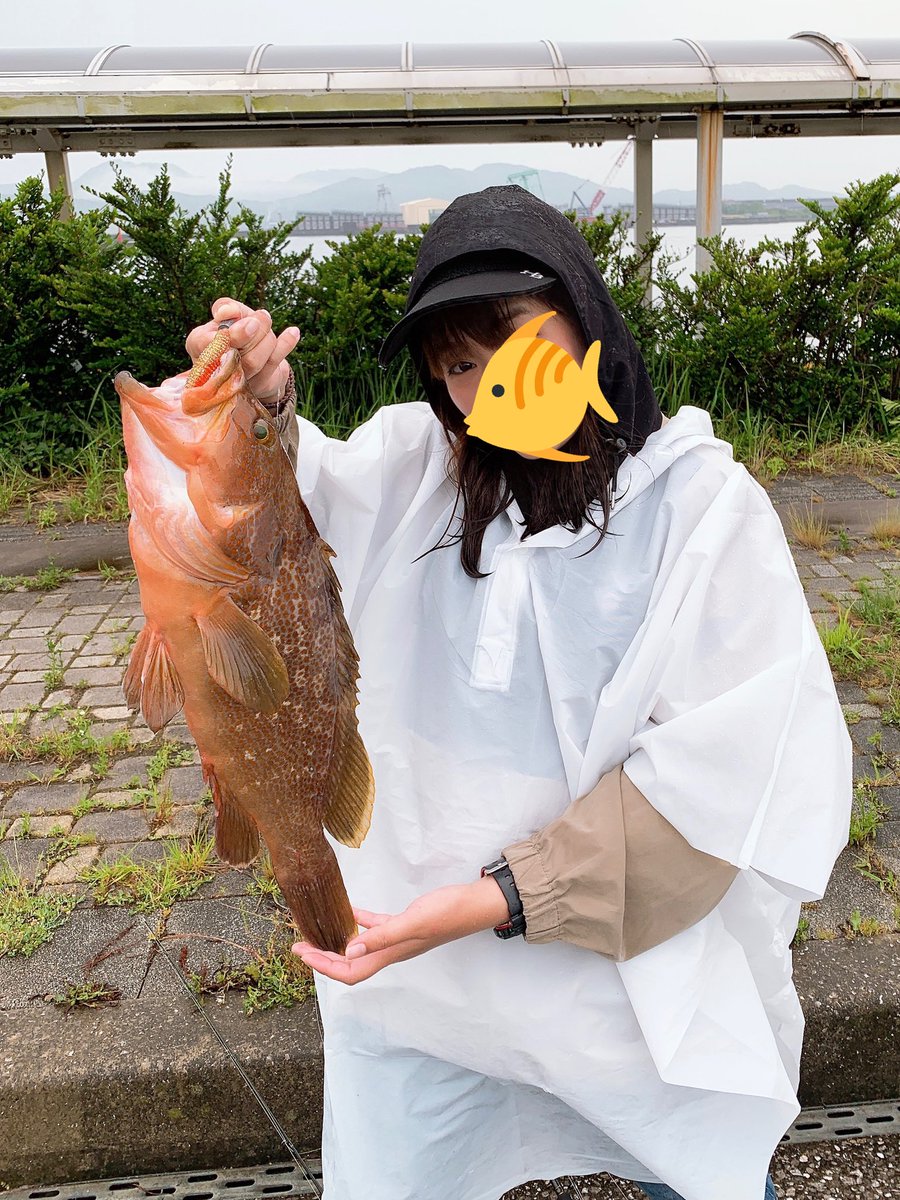 いもみん(眉毛ちゃんもいるよ) tweet media