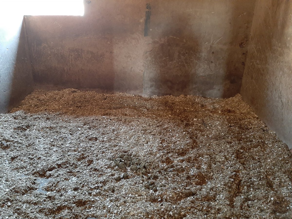 KathyVuuren's tweet image. Just saying this is how a stable must look #propermanagement #horsecare