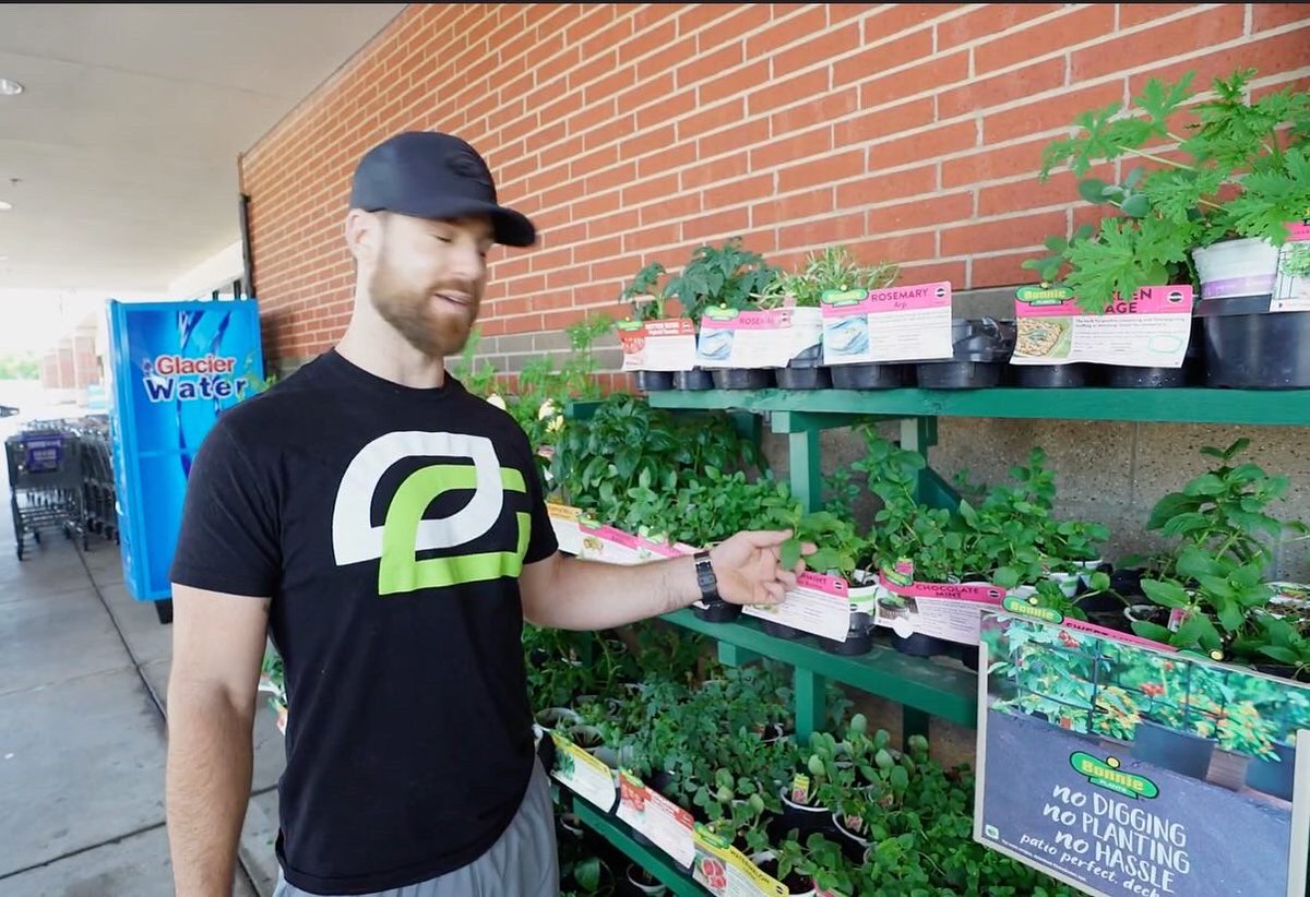 CoachT_Love's tweet image. Do yourself a favor, upgrade your flavor 🍀🎋🍄

Easiest way to sneak nutrients &amp;amp; flavor into your food ➡️ HOME GROWN HERBS
 
Whether you grow mint, parsley, basil, rosemary, cilantro, you name it

All of these can be used daily when cooking &amp;amp; grow like weeds with a little 💧☀️