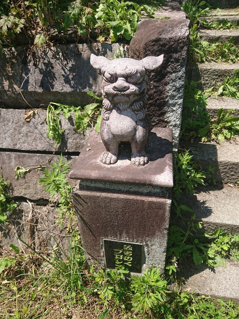 Tgurentaifujit's tweet photo. 朝起きて、練習して、昼飯食って、ウェイトやって、昼寝して、ツイキャスやって、今びっくりドンキー
字面的に面白みはないかもしれないけど充実感しかないからな!😎
#藤田プロレス特訓キャンプ
#FPTC https://t.co/CfTBVzLy3C