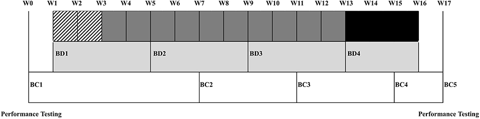 FrontSportsAL's tweet photo. #Biomarkers Correlate With Body Composition and Performance Changes Throughout the Season in #Women's Division I Collegiate #Soccer Players ⚽️

Read the #OpenAccess paper by @BMcfadden89, @AlanWalker_GG, @shawnarent and team here:  https://t.co/P1mfnmn73i #sports https://t.co/ae9g8zABXT