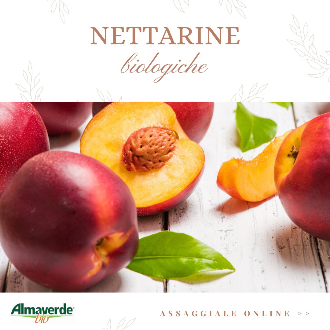 AlmaverdeB's tweet photo. Che #estate sarebbe senza #pesche #nettarine #bio? Se anche tu non sai resistere alla loro semplice dolcezza e quel profumo inconfondibile d’estate, ordinale online e in 1-2 giorni lavorativi arriverà direttamente sulla tua tavola! ➡ https://t.co/5eGjcoWcdI https://t.co/46OHs4avzJ