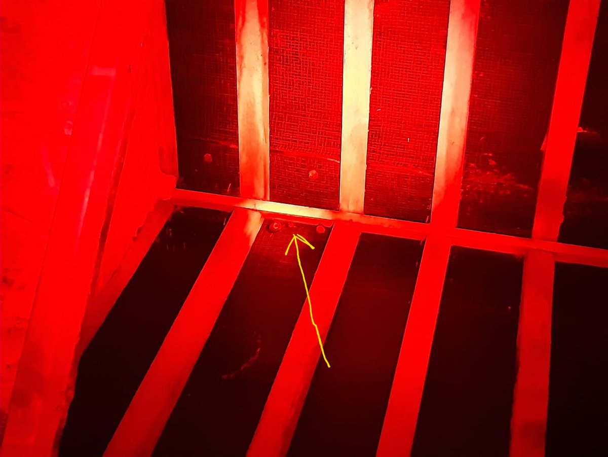 wild_service's tweet photo. We are in the midst of maternity season for bats, you can just about see a lesser horseshoe pup in this picture. (Taken under licence) https://t.co/7Tkj2WnJsu