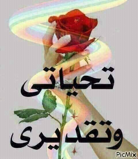 abdalwasa22921's tweet photo. @Amos_alsalem1 ما هذه الا صدقت فيها صح لسانك وسلمت يدك https://t.co/2uqlG2wPJx