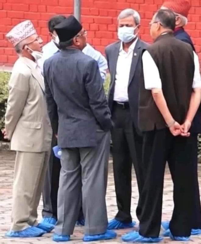 ओलीको पेलाईबाट तेल निस्केका एक हुल साँढे  घाममा जिउ सुकाउदै