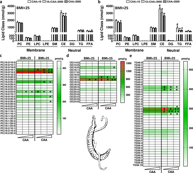 Guigas lab tweet media