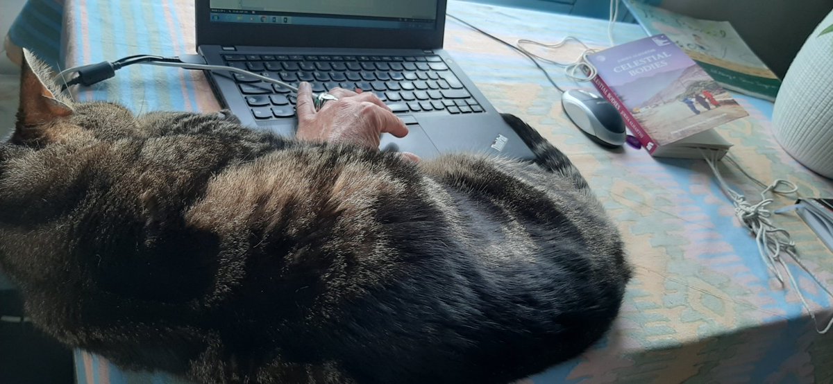 wnorwoodlibrary's tweet photo. The difficulties of wfh.
Cat on the laptop, he doesn't know that I must work, all his purring won't distract me from what I need to do, like writing this rather naff tweet to you! @lamlibs #FoWNL @SE27Parents @_LambethLife @WN_FEAST #WFH #LibrariesFromHome @westnorwoodnews https://t.co/h0BM4BO6Om
