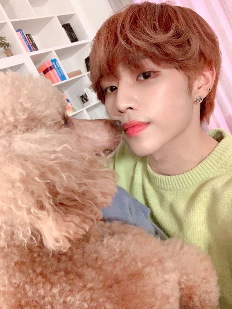 home dates with sunwoo;sunwoo loves coming over to your house because of your dog  whenever he’s at your place, he spends the time playing with ur dog instead of giving you attention. so sometimes you get pouty and upset but he’ll somehow know that and come give u cuddles 