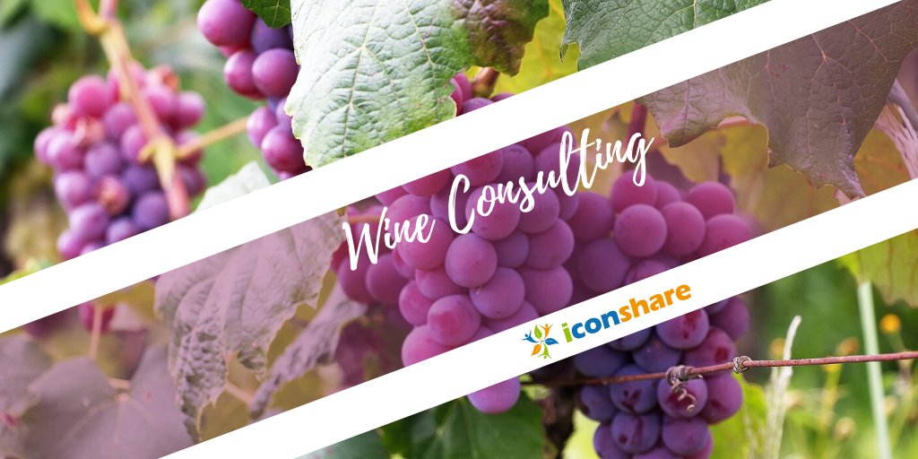 i_conshare's tweet photo. With experience in many wine producing regions, iconshare offers an array of wine consulting services, which includes wine sensory evaluation and blending of tanks/barrels, introduction on latest technologies and selection of the best winemaking procedures adapted to each variety https://t.co/DKxl8x1FLO