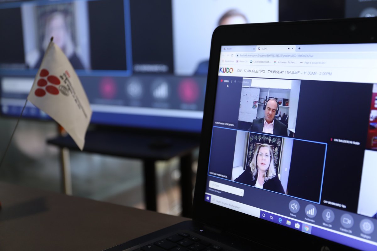 After one month, our 1st online meetings have come to the end today with the COMEX (Executive Committee) gathering. Here's a glimpse of how it was📹🔛youtu.be/K3rmkxc9hTE #oivmeetings