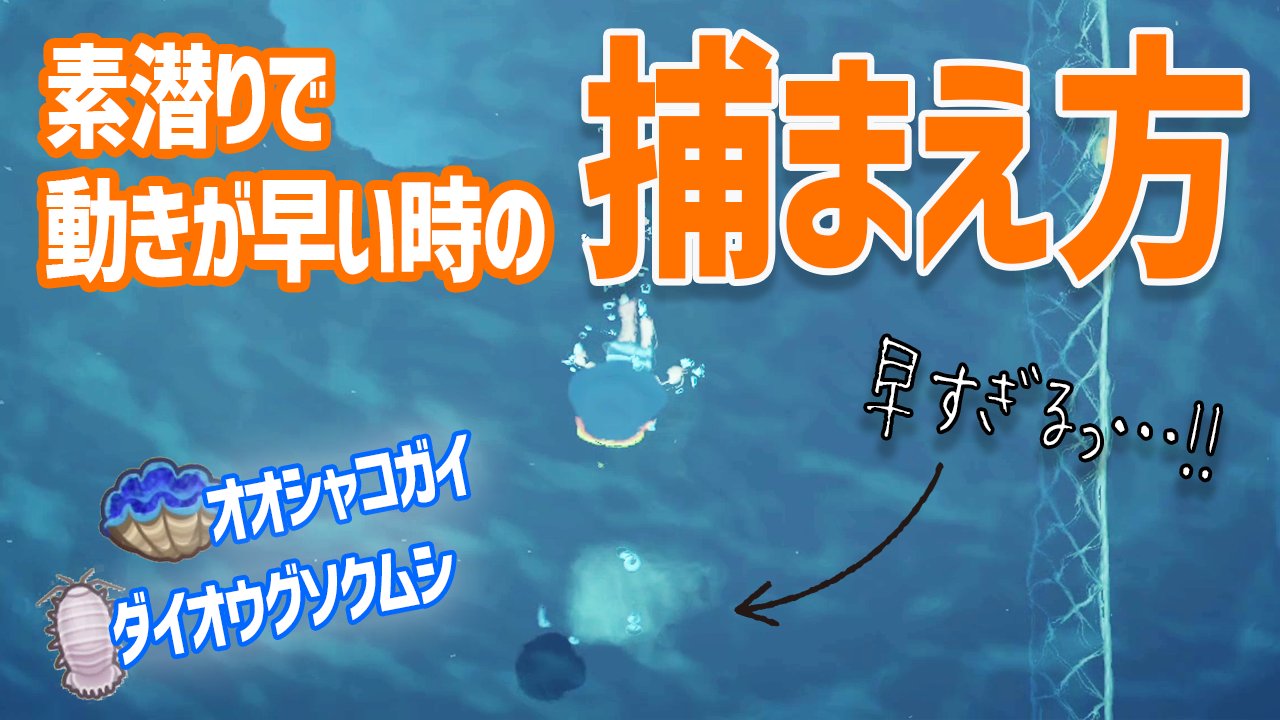みとまろ 夫婦でゲームしてます 新動画投稿 オオシャコガイやダイオウゾウリムシなど 素潜りで動きが早い時の対処法 捕まえ方 やり方 をお送りします T Co D4groj0qcx 2分程なのでサクッと見れます 森アプデ マーメイド家具 あつ森