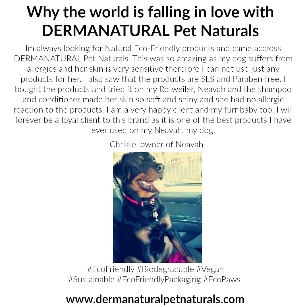 dermanaturalpet's tweet photo. 🐾🐶Why people are falling in love with DERMANATURAL Pet Natural🐶🐾
🌿🐾Review done By Neavah's Mom, Christel🐾🌿
 #UnitedKingdom #ReviewbyChristel #rottweiler #EcoFriendly #Biodegradable #Vegan #Sustainable #EcoFriendlyPackaging #EcoPaws https://t.co/iPKmdVLDUu