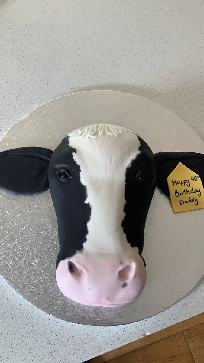 Blown away by my birthday cake, my wife and children have done me proud (and know me very well! #lovecows #40thyear