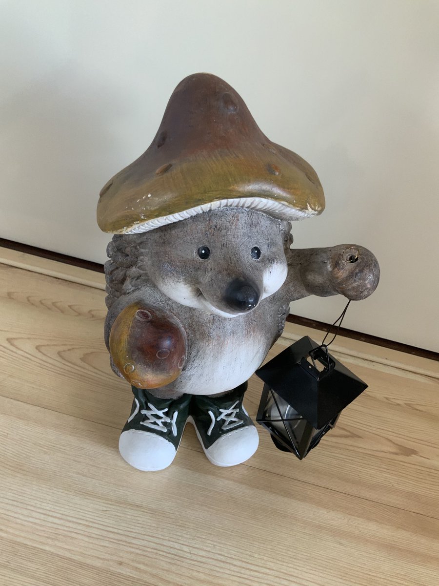 foto zonder uitleg en mensen