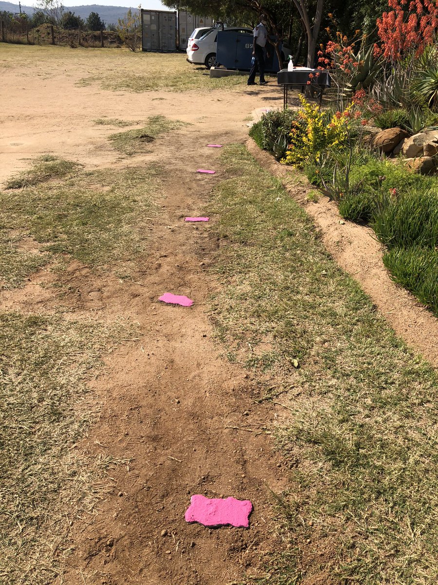 HazyviewDLC's tweet photo. What a way to finish off the week. A touch of pinky on fhe pathways leading to barn at #HazyviewCampus. #TerabytusDigitata now has a pink base. Thank you Njabulo for doing such an amazing job @GwfOnline @RushMoose https://t.co/KiwHRxFUJx