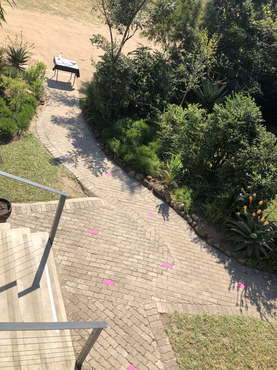 HazyviewDLC's tweet photo. What a way to finish off the week. A touch of pinky on fhe pathways leading to barn at #HazyviewCampus. #TerabytusDigitata now has a pink base. Thank you Njabulo for doing such an amazing job @GwfOnline @RushMoose https://t.co/KiwHRxFUJx