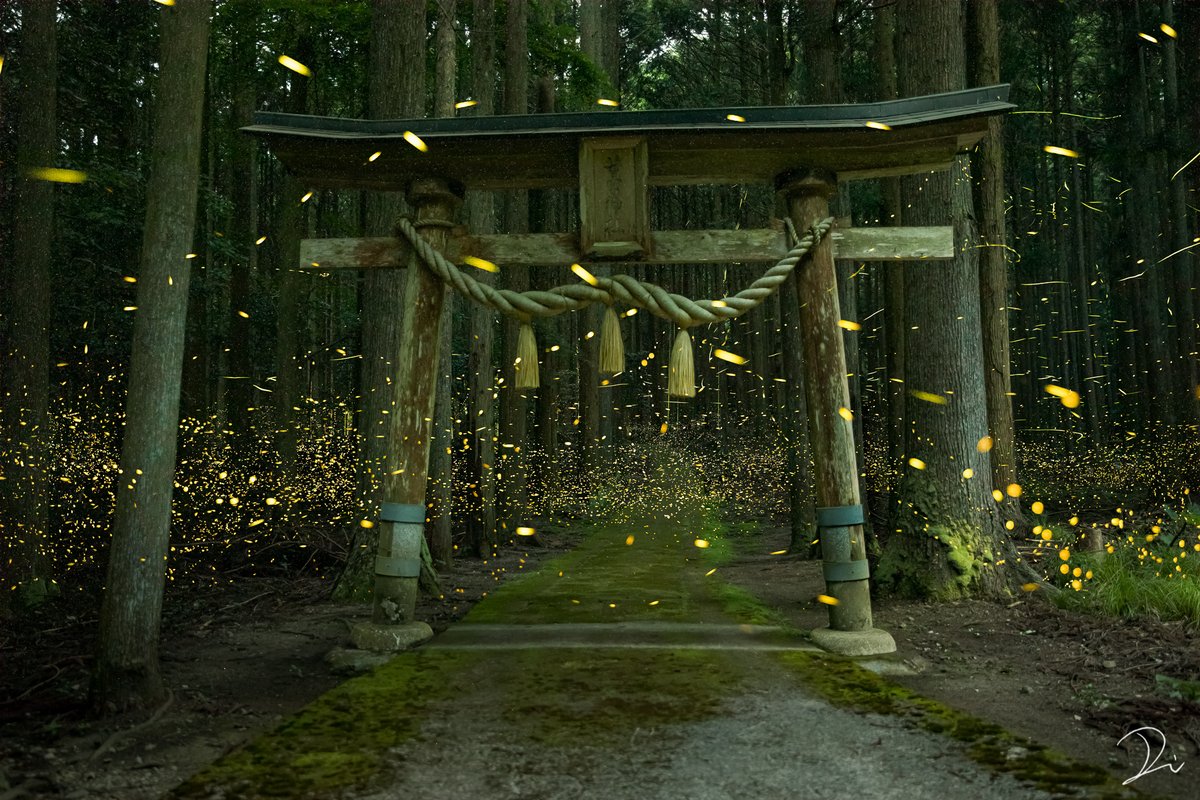 こんなに綺麗に撮れるのか 美しすぎる源氏蛍と姫蛍が舞い踊る神社 Togetter こんなに綺麗に撮れるのか 美しすぎる源氏蛍と姫蛍が舞い踊る神社 Togetter