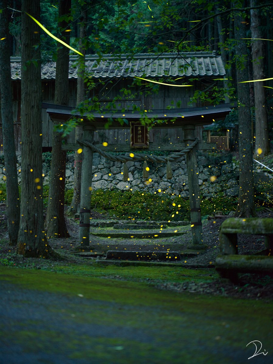 こんなに綺麗に撮れるのか 美しすぎる源氏蛍と姫蛍が舞い踊る神社 Togetter