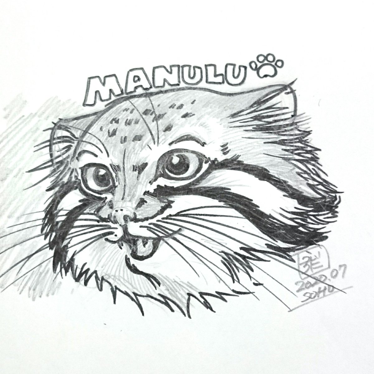 モフリシャス タヌーン マヌルイラスト練習中 普通にマヌルネコを描こうとするけど やっぱりポリーさんを意識してしまう マヌルネコ Manul Pallascat 猫イラスト