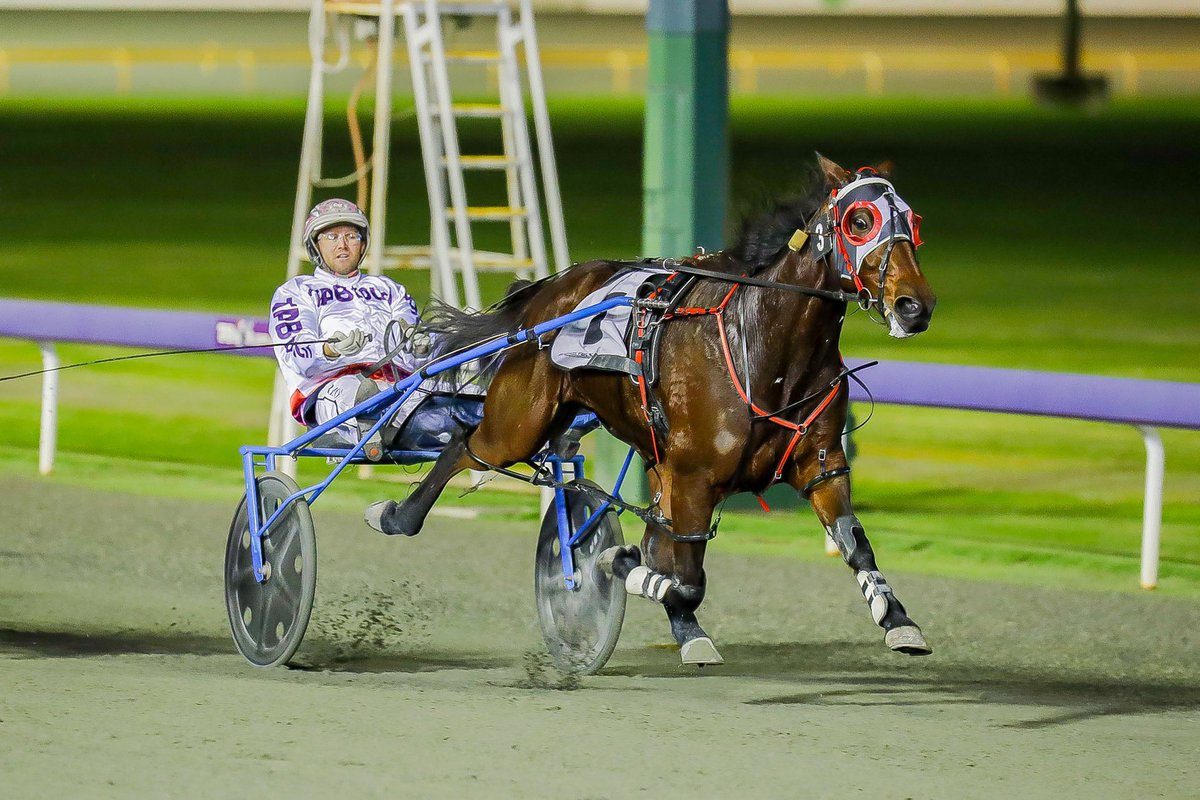 JohnTheMaestro's tweet photo. @Voak_train at his very very best @GloucesterPark #TheTin #VultanTin
#OneOfMyFavorites https://t.co/6Ic9ul0gBn