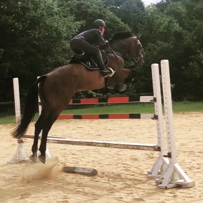 eventing_rmc's tweet photo. We have been so fortunate to drive down to Southern Pines for a week for some #bootcamp ! Big thanks to @aaeventing for letting some of the team tag along! Team members @Katheri93648779 &amp; @morgyn_johnson had some great lessons with Will Faudree Eventing and Solo Show Stables! https://t.co/8slKMJfiIU