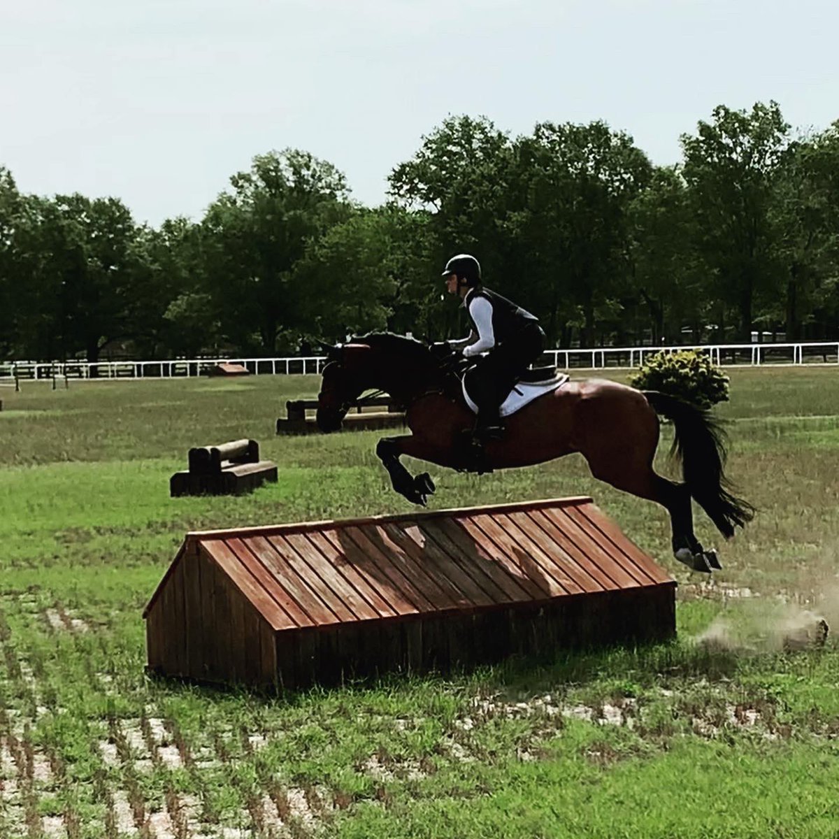 eventing_rmc's tweet photo. We have been so fortunate to drive down to Southern Pines for a week for some #bootcamp ! Big thanks to @aaeventing for letting some of the team tag along! Team members @Katheri93648779 &amp; @morgyn_johnson had some great lessons with Will Faudree Eventing and Solo Show Stables! https://t.co/8slKMJfiIU