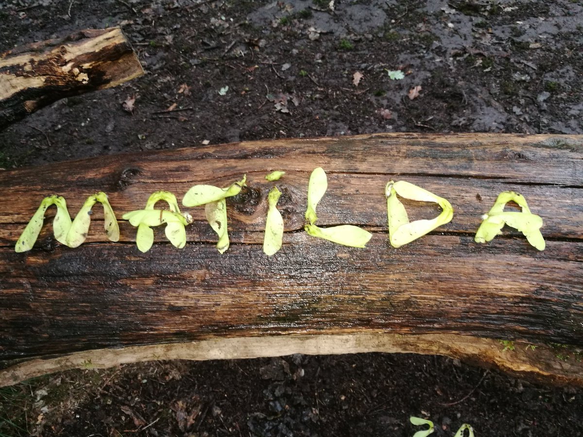 MatildaEmily3's tweet photo. https://t.co/a2ahxV3Wly