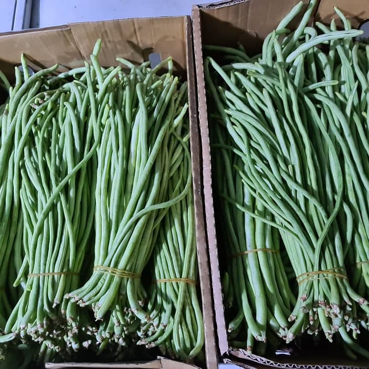 North Fruits Uganda Limited tweet media