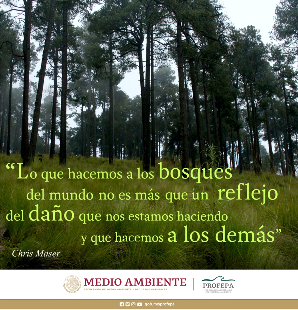 PROFEPA_Mx's tweet photo. #BuenViernes https://t.co/stOIHdJyFE