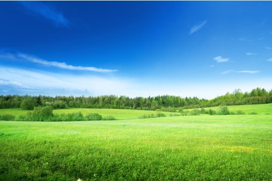 With #COVIDー19  impacting on the way we work and do business, it is not surprising that we are seeing an increase in demand for strategic land opportunities. Read Clarissa's blog via this link  bit.ly/38AqocV #commercialproperty #land #agriculture