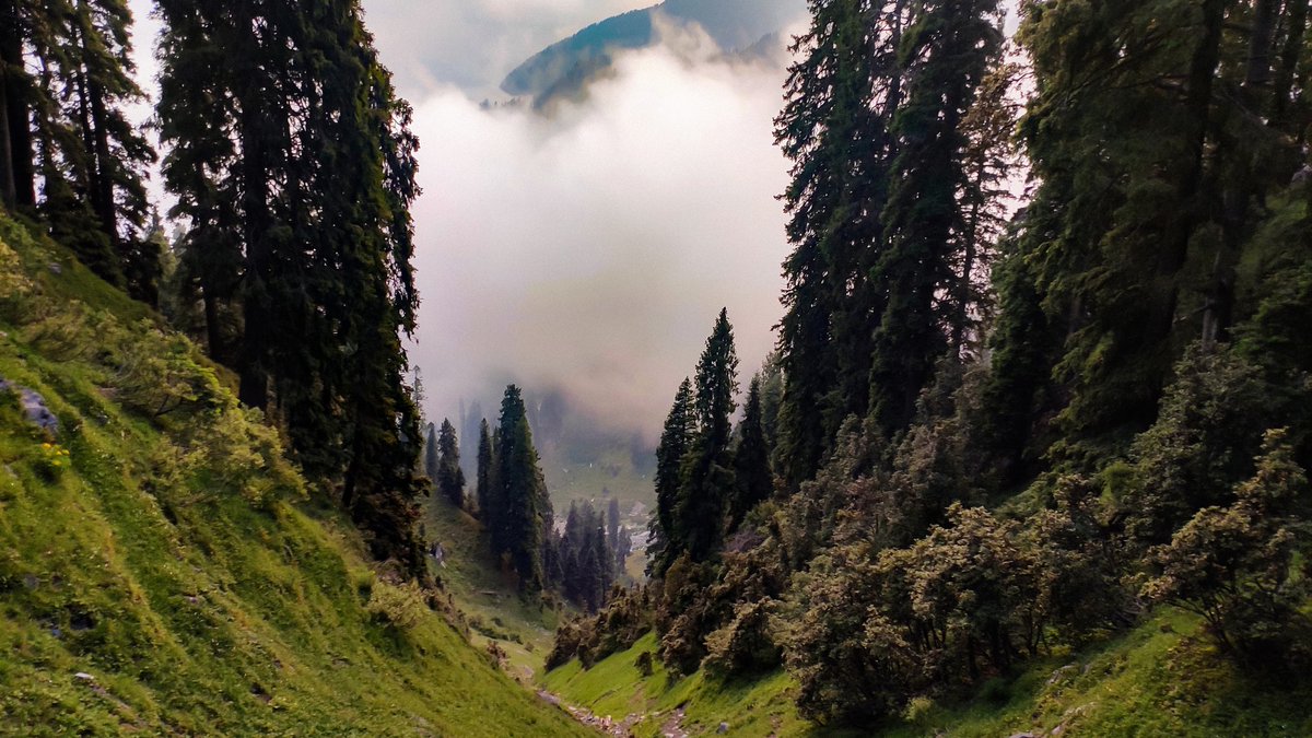 omarzaindm's tweet photo. It was a wonderful experience photos cannot explain the moments we spent in 3 days Trek from koteranka (Bakori) to Danna near Gumsar Lake...

Way from koteranka (Bakori) - sarra - Kesri Hill - Korri Hill (1st camp) - Dange - Madhani - Danna
@JandKTourism https://t.co/fZFV4ZEYfV