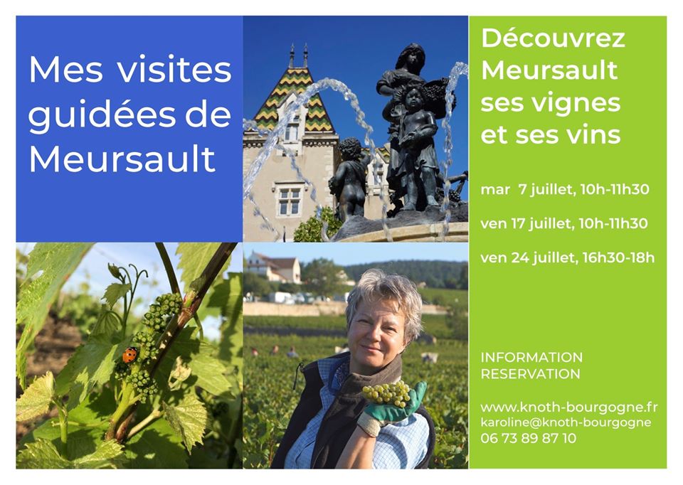 guides_en's tweet photo. #Meursault #2020JeVisiteLaFrance avec les #GuidesConferenciers😍 https://t.co/QAh3sLGFUp
