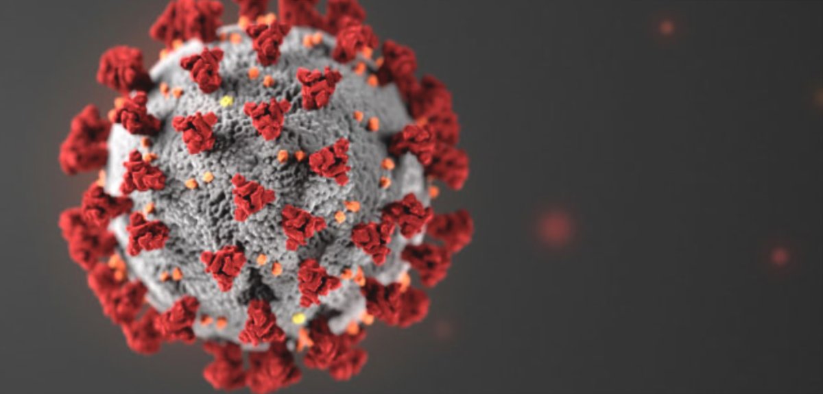 Choose Marshall tweet media