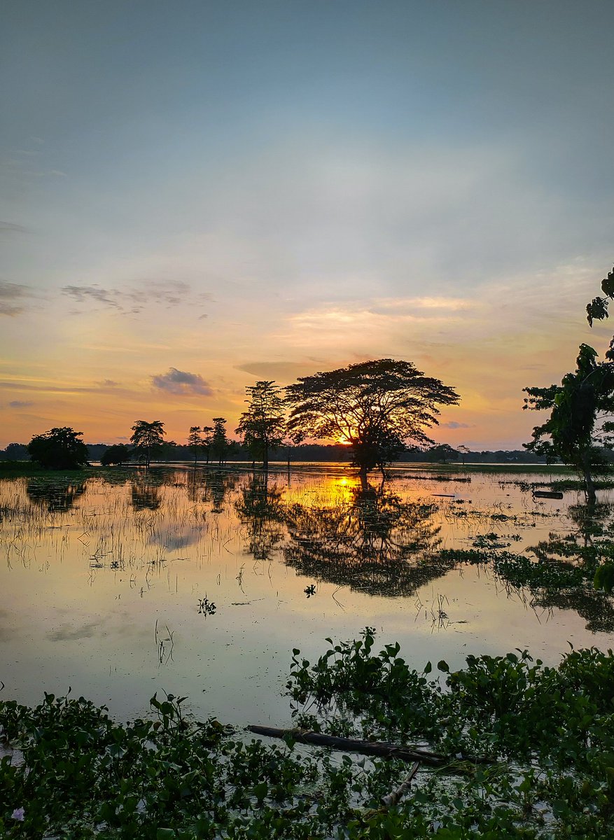 NibedanPathak's tweet photo. Assam , Floods and Sunsets. 

#AssamFloods #sunsets #asus5z https://t.co/Np64Vk2nCe