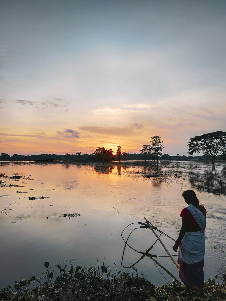NibedanPathak's tweet photo. Assam , Floods and Sunsets. 

#AssamFloods #sunsets #asus5z https://t.co/Np64Vk2nCe