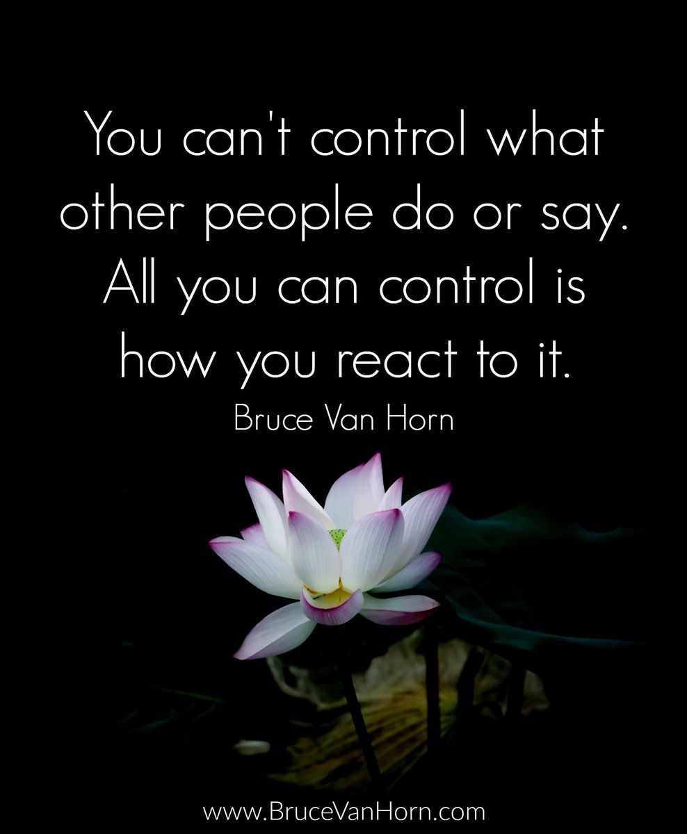You can't control what other people do or say. All you can control is how you react to it.