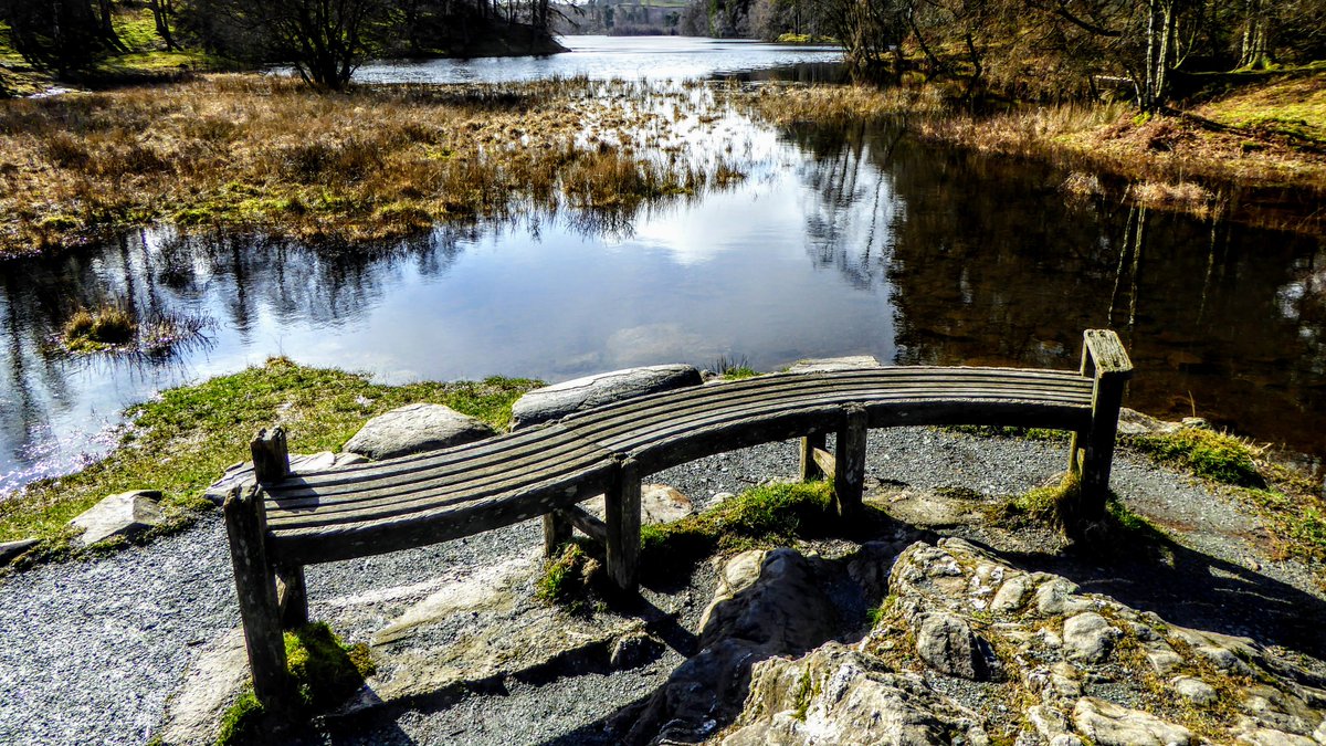 Lovely curvy bench

#TarnHows #LakeDistrict

@MyFaveBench