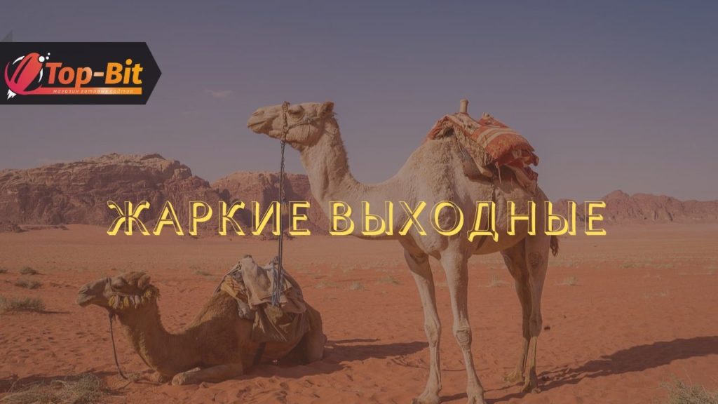 TopBitStudio tweet picture