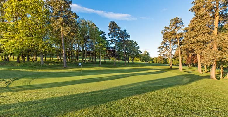 Scotland Golf Tours tweet media