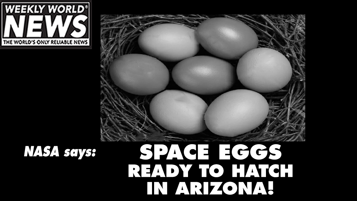 weeklyworldnews's tweet photo. Breaking news from Arizona alien farm! #weeklyworldnews #aliens #ufos #spaceeggs #spacefarm #alienfarm #arizona https://t.co/TNZgNgTzO3